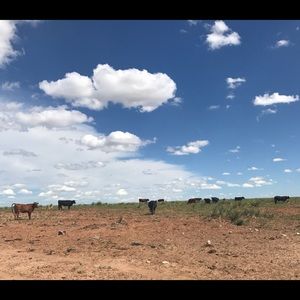 Meet your Posher, Jaden